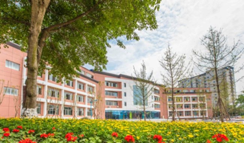 龙泉驿区新格林艺术高级中学校园风景