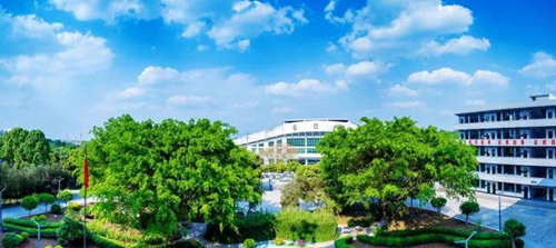 成都高新三岔中学美丽校园