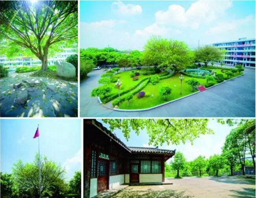 成都高新三岔中学校园环境2