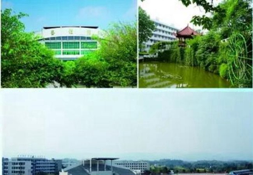成都高新三岔中学校园建筑