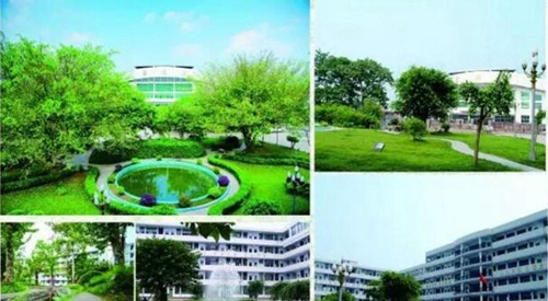 成都高新三岔中学校园景色