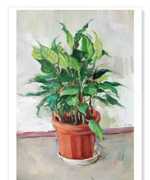 成都大树画室优秀作品5