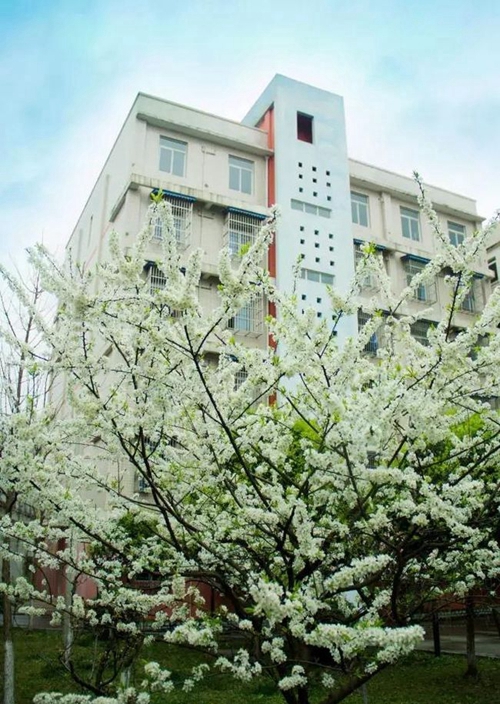 四川师范大学附属中学外国语学校学生宿舍楼