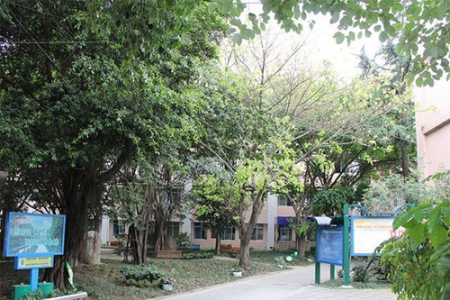四川省成都市第四十九中学校校园绿化