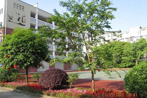 都江堰育才学校校园掠影3