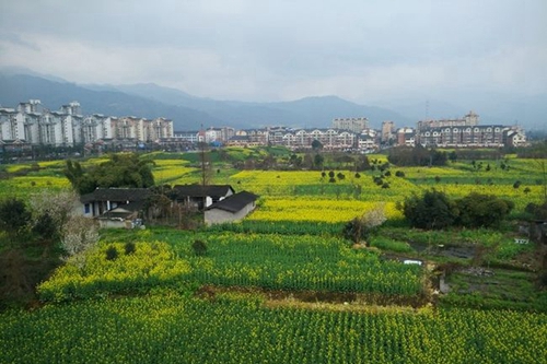 都江堰育才学校校园周边