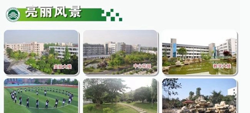 四川省邛崃市高埂中学校园风景