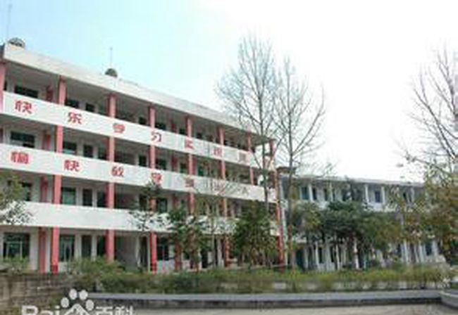 嘉陵区大通中学学校