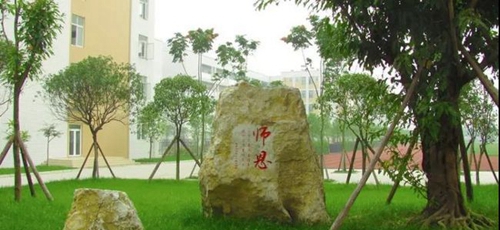 郫都区第四中学校园石