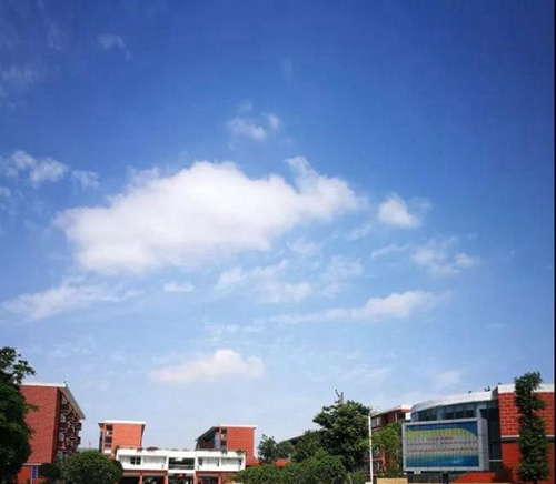 成都经开区实验中学校园风貌