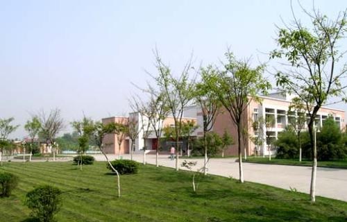 916.jpg