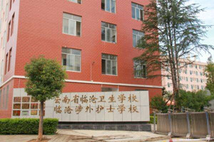 云南省临沧卫生学校|临沧卫校图片