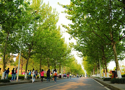 2025年四平开设有工业机器人专业的职校名单汇总