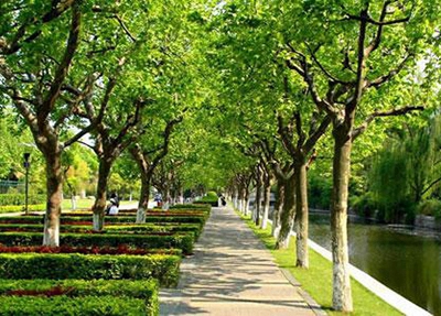 2025年茂名有哪些航空专业学校