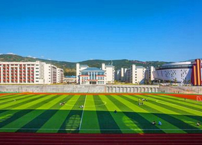 2025年哈尔滨开设电子商务专业的学校有哪些