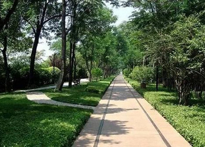 2025年郴州学工业机器人专业上什么学校