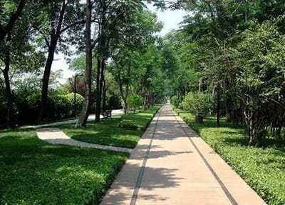 西安航空护士职业学校2023年招生条件