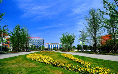 嘉兴南洋职业技术学院工商企业管理专业都学些什么?