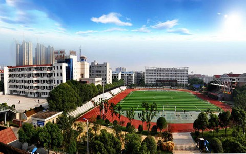鹤岗师范高等专科学校音乐教育专业可以选择哪些就业方向