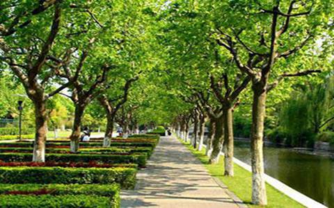 2022天长市职业教育中心是几本_是本科还是专科学校？