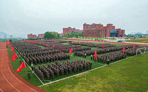 杭州万向职业技术学院税务专业都学些什么?