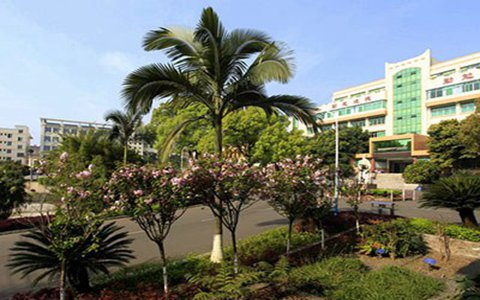 哈尔滨职业技术学院学校航空学校的学费