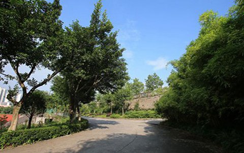 哈尔滨现代公共关系职业学院五年制大专有高铁乘务专业吗