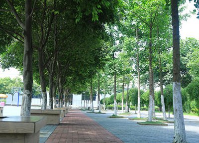 雷波马颈子乡中学口碑怎么样