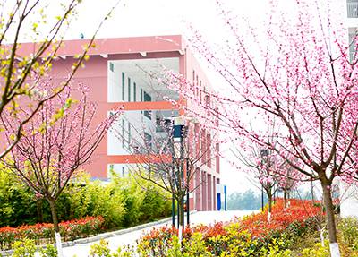 临汾会计学校2023年是不是热门学校-好不好呢