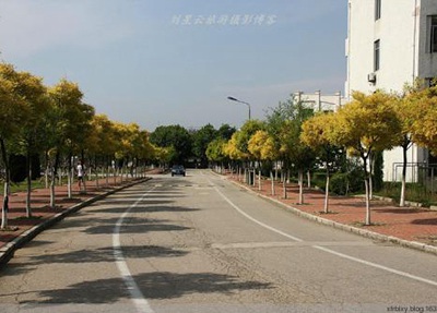 2023年眉山卫生职业学校招生简章