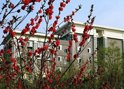 山西农业广播电视学校2023年开设了什么专业?-好不好呢