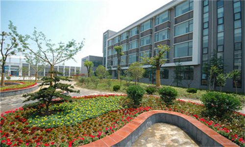 武汉大学医学部2022年招生分数线