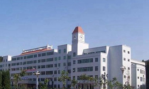 永城职业师范学院幼儿师范学什么内容