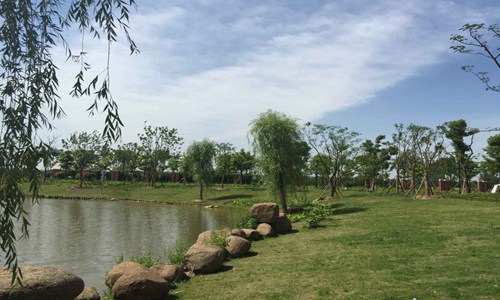 福建幼儿师范高等专科学校美术教育专业招生介绍