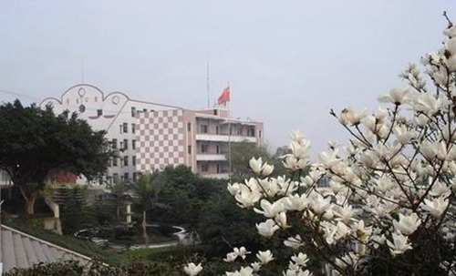合肥理工学校太阳能与沼气技术利用专业介绍