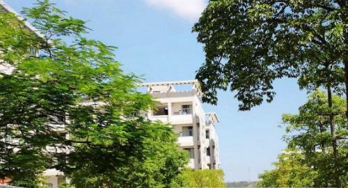 河南科技学院新科师范学院幼儿师范学什么内容