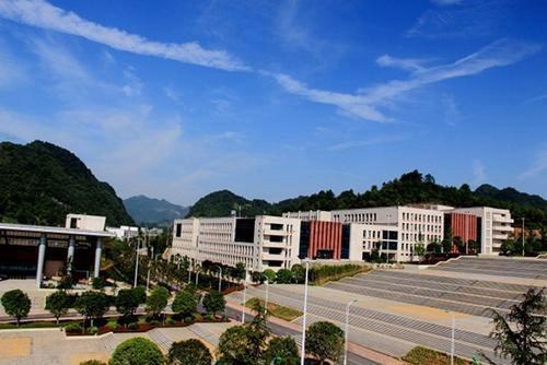 鹤壁职业技术学院医学院有药剂专业吗