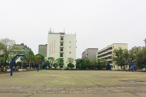 安徽国际商务职业学院旅游管理专业介绍
