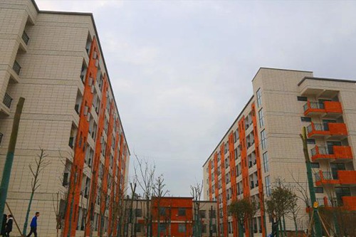 江西泰豪动漫职业学院五年制大专有药剂专业吗