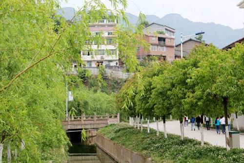 安徽林业职业技术学院室内艺术设计专业介绍