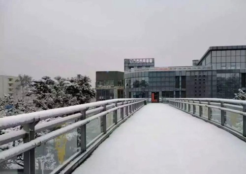 黑龙江林业职业技术学院影视动画专业介绍