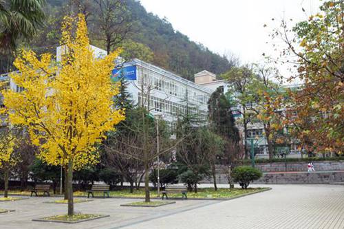 安徽电子信息职业技术学院计算机应用技术专业介绍