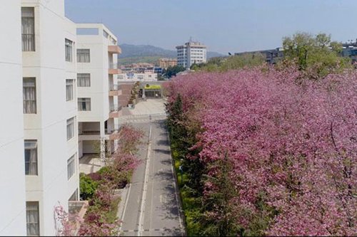 长沙商贸旅游职业技术学院移动应用开发专业介绍