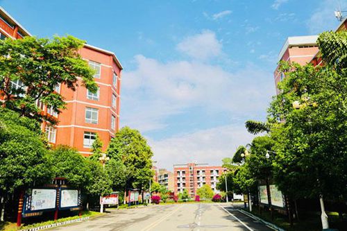 皖北卫生职业学院卫生信息管理专业介绍