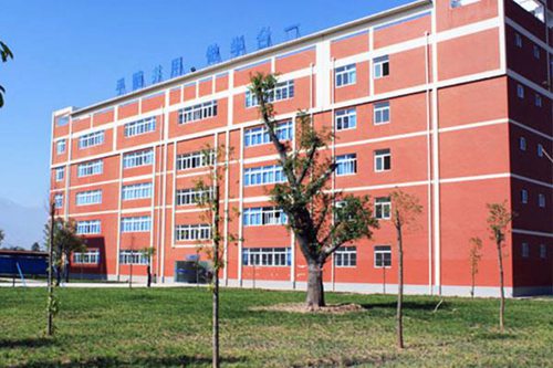 九江职业大学幼儿师范学什么内容