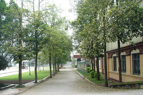 衡水艺术设计学校2022年招生简章