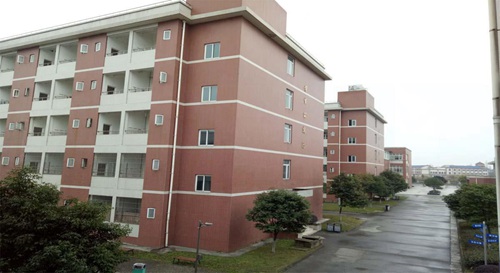 厦门计算机专业主要学什么 2023就业前景如何