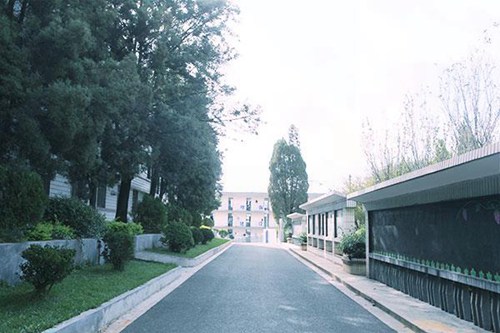 旬阳职业中等专业学校2023年招生要求多少分怎么样