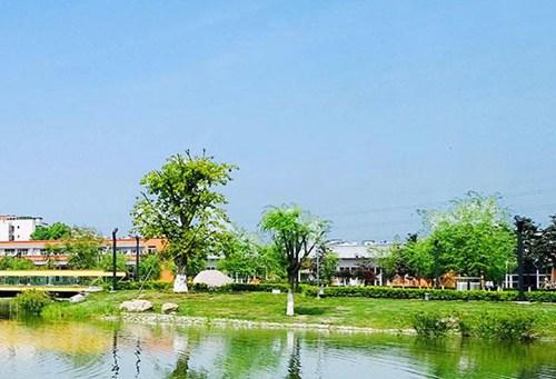 河北东方汽车学院3+2五年制大专分数线