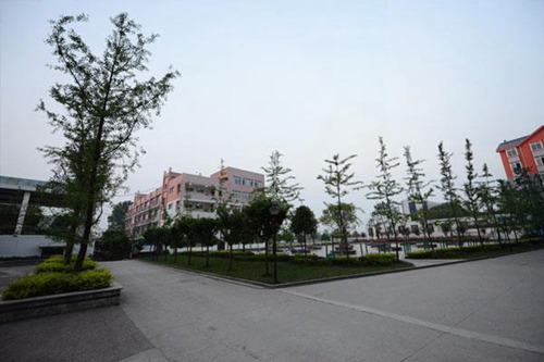 厦门|2023互联网金融工资多少 有什么岗位